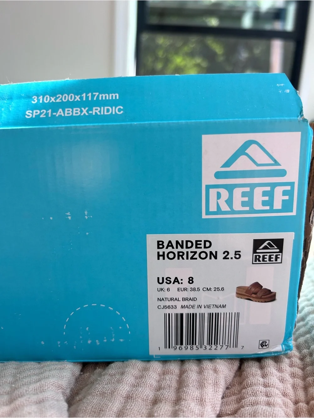 Reef Banded Horizon 2.5